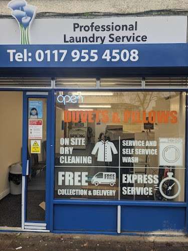 Spring laundry service