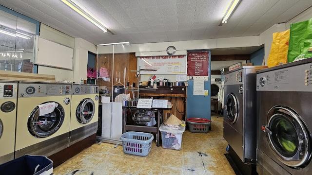 The Wash & Dry Shop