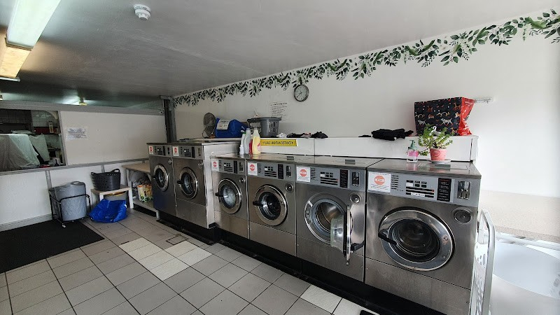 In A Spin Laundry