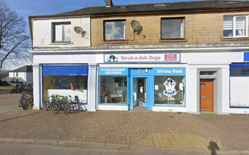 Scrub - A - Dub Dogs launderette photo