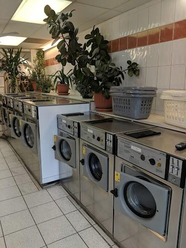 Horizon Launderette launderette photo