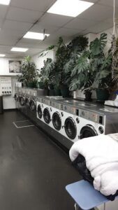 Bush Fair Launderette
