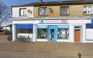 Scrub - A - Dub Dogs