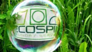 Ecospin Laundry Services